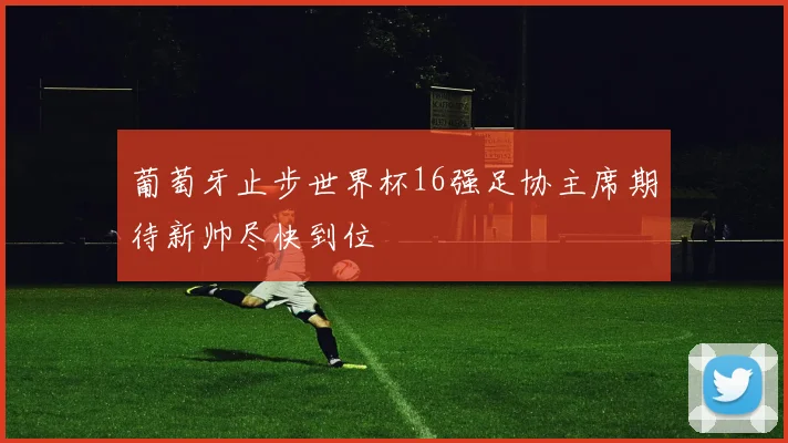 葡萄牙止步世界杯16强足协主席期待新帅尽快到位