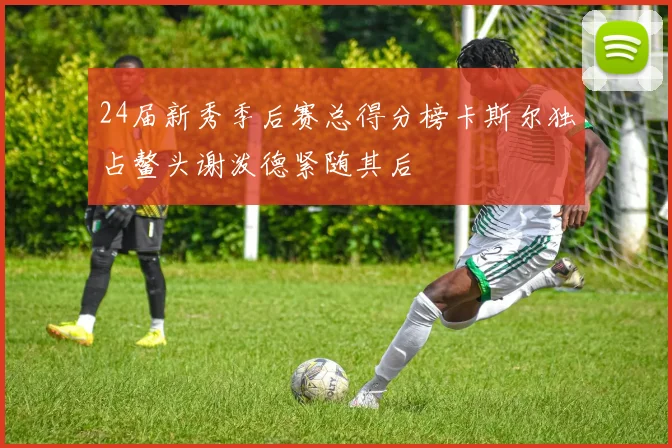 24届新秀季后赛总得分榜卡斯尔独占鳌头谢泼德紧随其后