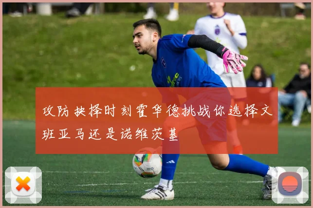 攻防抉择时刻霍华德挑战你选择文班亚马还是诺维茨基